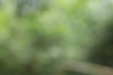 Soyut Görüntü Arkaplanı, Doğa Bulanıklığı 