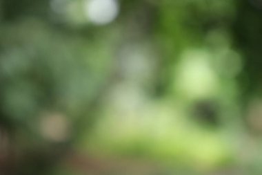 Soyut Görüntü Arkaplanı, Doğa Bulanıklığı 