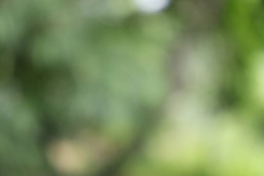 Soyut Görüntü Arkaplanı, Doğa Bulanıklığı 