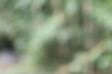 Soyut Görüntü Arkaplanı, Doğa Bulanıklığı 