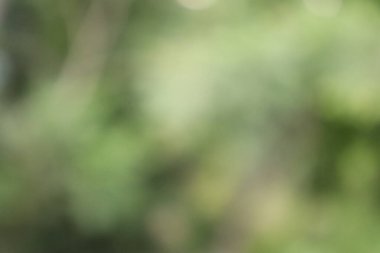 Soyut Görüntü Arkaplanı, Doğa Bulanıklığı 