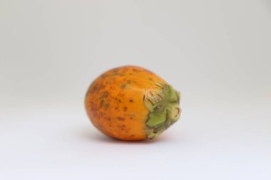 Teni dokulu ve yeşil saplı tek bir betel fındığı beyaz bir zemin üzerinde, sağlık, gıda ve kültürel temalar için idealdir. İzole edilmiş.