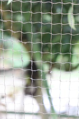 Bulanık yeşil ve beyaz arkaplana karşı soyut bir etki yaratan, ağ örgüsü desenli aşırı yakın çekim..