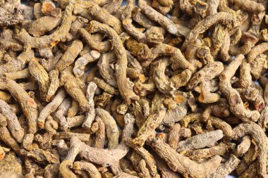 Çok sayıda kurutulmuş zerdeçal ritmi görünüyor. Pürüzlü doku ve kahverengi renk bu aromatik ve tıbbi baharat yığınına hakim..