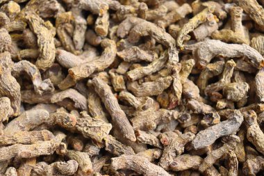 Kurutulmuş zerdeçal rhizomu yığını. Doğal bir ilaç, baharat, gıda katkı maddesi ve bitkisel ilaç olarak kullanılan zerdeçal kökü. Yakın çekim, yukarıdan açı.