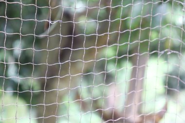 Görünür şebeke desenli tel ağlarına odaklanan yakın plan çekim açık hava yeşillik arkaplanı, dokuyu ve güvenlik temaları vurgulanıyor.
