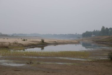 Serene manzarası sisli gökyüzünün altında çamurlu kıyıları, bitkileri ve ağaçları olan kırsal bir nehri gösteriyor. Nehrin yeri Bengal, Hindistan 'da.