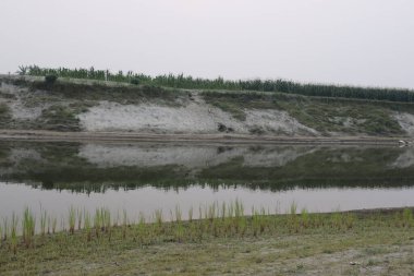 Huzurlu nehir manzarası, bulutlu bir gökyüzünün altında çimenli bir tarlanın üzerine doğanın huzurlu kırsal manzarasını yansıtır..
