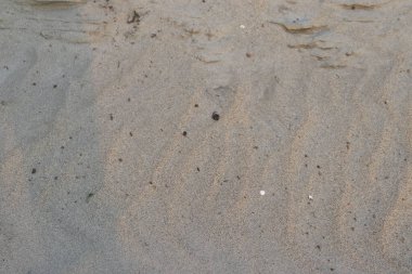 Açık kahverengi kum dokusu, parlak bir günde küçük kayalar, desenler, küçük kabuklar, organik atıklar ve gölgeler içerir, ayrıntılı kıyı yüzeyi oluşturur..