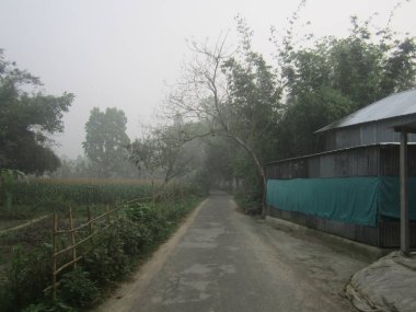 Bangladeş 'te yoğun sisle kaplanmış sessiz bir yolun atmosferik görüntüsü. Manzara yemyeşil, bambu ağaçları ve bulutlu bir gökyüzü altında basit kırsal mimariye sahiptir..