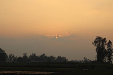Altın ışık bulutların arasından süzülerek sakin bir kırsal kesimin üzerine turuncu bir renk bırakıyor. Siluetli ağaçlar ufuk çizgisinde, parlak gökyüzü ve tarım arazilerine karşı bir tezat oluşturuyor..