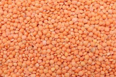 Tam kare makro fotoğraf bir yığın ham kırmızı mercimek içerir. Dairesel şekil ve canlı turuncu renk desenli bir şekil yaratır. Odaklanma tamamen keskindir..