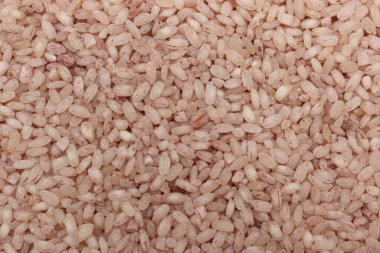 Bu makro resim açık kahverengi haşlanmış pirinç yığınını sergiliyor, tek tek tahılların ve ince renk değişimlerinin detaylı bir görüntüsünü sunuyor, dokuyu vurguluyor.