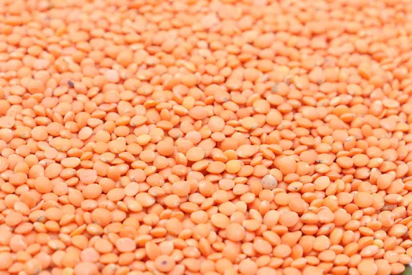 Yoğun kırmızı mercimek katmanlı bir makro çekim yakalar, zengin, dokulu bir zemin oluşturur mutfak veya besin bağlamları için uygun. Mercimek tek renk sergiler..