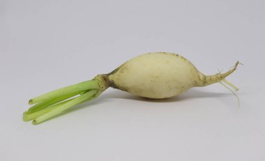 Bu yakın çekim düz bir arkaplan karşı tek, dikdörtgen beyaz turp setini vurguluyor, taze yeşil kökleri ve doğal dokuları sergileniyor, yiyecek veya üretmek için uygun temaları.