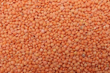 Bu canlı yakın plan, tüm yüzeyi kaplayan küçük, turuncu-kırmızı mercimeklerden oluşan sonsuz bir katman gösteriyor. Yoğun, desenli bir kompozisyon yaratıyor, çerçeveyi tamamen dolduruyor..