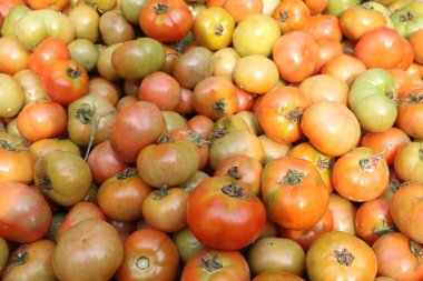 Renkli domateslerden oluşan bir grubun yakın çekimi, sarı ve turuncu tonlarını gösteriyor, olgun ve sağlıklı yemek malzemeleri için mükemmel..