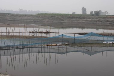 Kristal berrak su yansıtan nehir sahnesi ahşap direkler, desteklenen mavi örgü ve yeni ekilen bitki örtüsü; kırsal alanda sisli bir arka plan ile çiftçilik sahnesi.