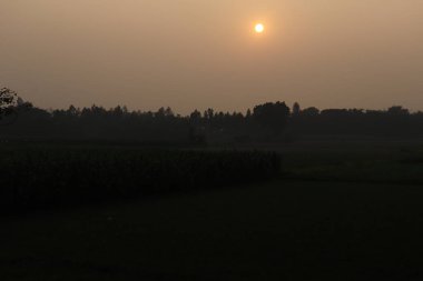 Bu büyüleyici alacakaranlık sahnesi, ufukta ağaçların ve mahsul siluetlerinin dolaştığı bir tarlanın üzerindeki güneş ışığını gösteriyor. Bu canlı manzara fotoğrafçılığı çekici bir doğa sahnesi..