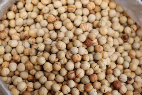 Bu göz hizasında, detaylı çekim şeffaf bir plastik torba içinde bulunan bej ve kahverengi fasulye koleksiyonunu gösteriyor..