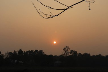 Altın saat, ufukta, ağaçlar ve uzak binaların sıcak bir gökyüzüne karşı silueti ve üst çerçevede dalları olan sakin bir manzarayı gözler önüne seriyor..