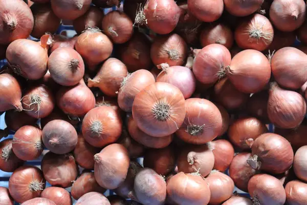 Bu makro çekimde canlı renkleri ve doğal dokuları olan bir yığın taze soğan sergileniyor, tarımla ilgili tasarımlar ve promosyonlar için harika..