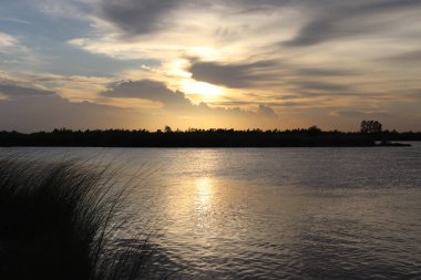 Gün batımında sakin nehir manzarası sunar güneş sulardan yansıması ve sakin bir ufuk çizgisi. Bitkiler bulutlu gökyüzünün altında su kenarına yakın dekore ederler..