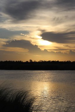 Altın saat gölü ılık gün batımı ışığında yıkar. Durgun su, parlak gökyüzünü yansıtır. Ufuk, uzak ağaçların siluetiyle çizilmiş..