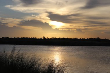 Serene Doğa Sahnesi, canlı altın bir günbatımını yansıtan sakin bir göl sergiliyor. Uzak ağaçlar, yumuşak bulutlarla dolu parlak gökyüzüne karşı koyu bir siluet oluşturur..