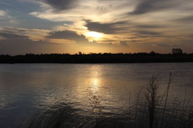 Huzurlu manzara, altın bir günbatımının canlı tonlarını yansıtan sakin bir nehir sergiliyor. Ufuk boyunca uzanan siluetli bir ağaç çizgisi alacakaranlıktaki sakin, doğal manzarayı güçlendirir..