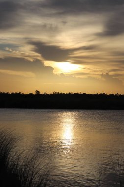 Altın bir günbatımında yakalanan güneş bulutların arasında parlar, sakin gölü yansıtır. Siluetli ağaçlar ufuk çizgisinde ve uzun otlar ön planda duruyor, doğal manzarayı vurguluyorlar..