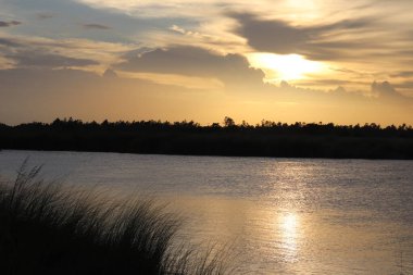 Parlak günbatımı sakin nehri yansıtır, dingin manzarada altın bir parıltı bırakır. Uzak ağaçlar, parlak gökyüzüne karşı durarak huzur dolu bir manzara yaratıyor..