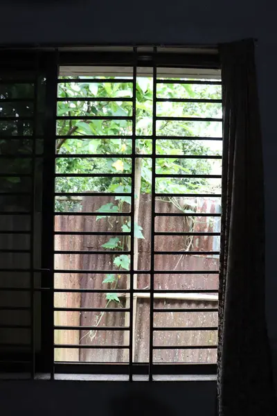 Siyah metal parmaklıklar, yıpranmış, kıvrılmış, kısmen yeşil sarmaşıklarla kısmen gizlenmiş bir demir duvarı gösteren bir pencere çerçevesi oluşturuyor. İç ve dış arasındaki etkileşim katmanlı bir görünüm yaratır..