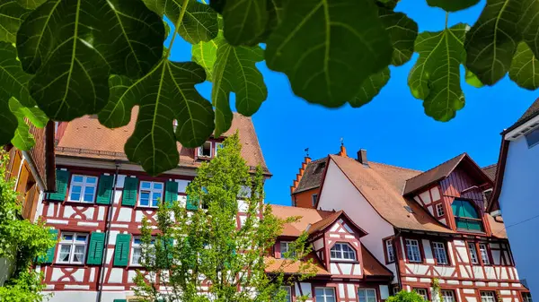 stock image Beautiful view of an old half-timbered houses in medieval town Meersburg in Germany with many historical attractions. In the foreground - the green fig leaves.