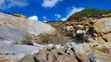 Akdeniz 'in bir adasında yetişen çalıların üzerinde granit ve taş dağ oluşumları. Taşlarda hayat.