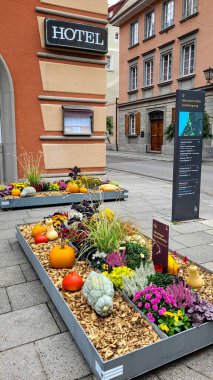 Alman şehrinin Constance Gölü sokaklarında çok güzel sonbahar kompozisyonları. 10 Ekim 2024. Uberlingen, Almanya