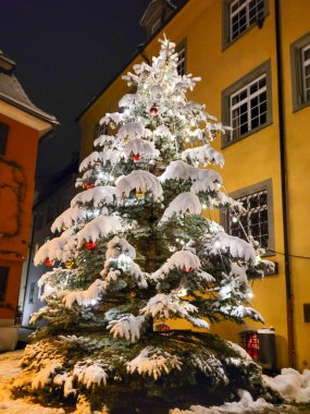 Akşamları Noel ağacı manzarası, ışıklarla süslenmiş, Noel topları ve beyaz pofuduk karla kaplı. Arka planda - sarı ve kırmızı binalar.