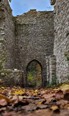 View of ruins Hohengerhausen near Blaubeuren in Germany on an autumn day. In the foreground - autumn leaves clipart