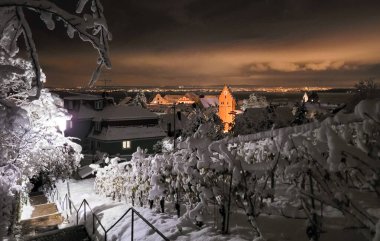 Almanya ve Obertor 'da Meersburg kış akşamının manzarası. Ön planda, beyaz pofuduk karla kaplı üzüm bağları. Arkasında - Constance Gölü ve İsviçre.