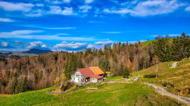 Sonbaharın sonlarında dağlarda. Güneşli bir günde, ormanın ortasında tipik bir Bavyera ahşap ev manzarası.
