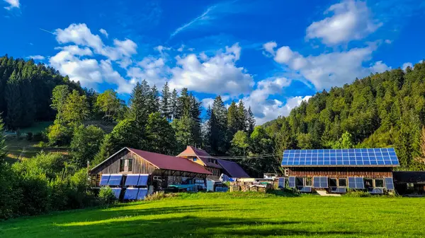 Güneş sistemi ve güneş termal enerji sistemiyle donatılmış bir grup çiftlik ahşap binası. Yakınlarda yakacak odunları olan konteynırlar var. Arka planda - yeşil orman ve mavi gökyüzü.