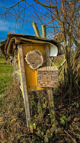 Bahçesinde küçük odun parçaları olan böcek oteli. Uberlingen, Almanya.