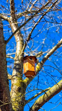 Ağaçta asılı bir ahşap kahverengi kuş evi. Arka planda parlak mavi bir gökyüzü var. Doğa beklenti içinde. Seçici odak, dikey biçim.