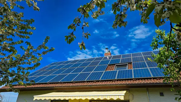 Özel bir evin çatısındaki güneş panelleri mavi gökyüzünün arka planına karşı. Ön planda çiçekli bir kiraz. Güneş panellerini çatıya yerleştirip tasarruf etmeyi..