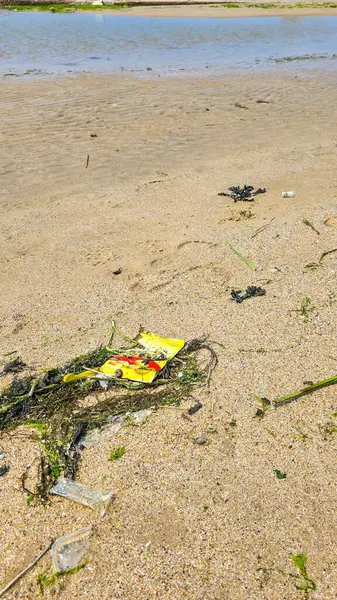 Sarı plastik ambalaj ve yeşil algler okyanusun ya da deniz sahilinin ıslak kumlarında. Çevreye karşı sorumsuz bir tutum. Okyanusların ve denizlerin plastik kirliliği.