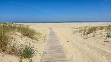 Ahşap patika, Gironde 'nin batı kıyısındaki Verdon sur Mer yakınlarında Fransa' nın Atlantik kıyısındaki kum tepelerinden geçer. Atlantik 'in gerçek renkleri.