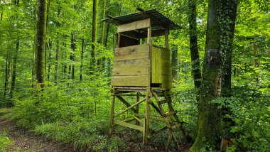 Uberlingen 'in Nussdorf yakınlarındaki Alman ormanındaki yüksek av gözetleme noktasının görüntüsü.