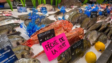 Tezgahtaki buzun üzerindeki taze balığın tipik Fransız pazarının görüntüsü. Haziran 01, 2025. Soulac sur Mer, Medoc, Aquitaine, Fransa.