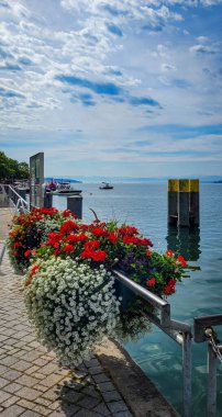 Constance Gölü ve Embankment 'tan İsviçre Alpleri' nin pitoresk manzarası. Manzara tasarımında çiçekler. Beyaz lobularia, kırmızı sardunya ve çiçek tasarımında sarı ve mor diğer çiçekler..