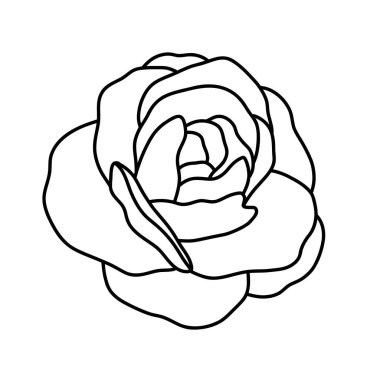 Hand drawn rose. Line art. Flower with contour. Simple doodle drawing. Outline rose. Coloring page. Black and white vector illustration.